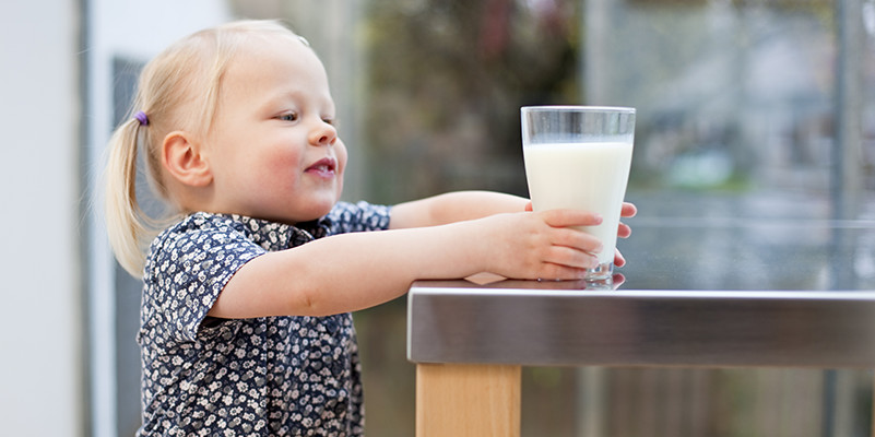 L'alimentation de votre enfant de 2 à 3 ans - Harmonie Prevention