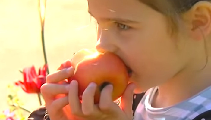 Les enfants et l'alimentation