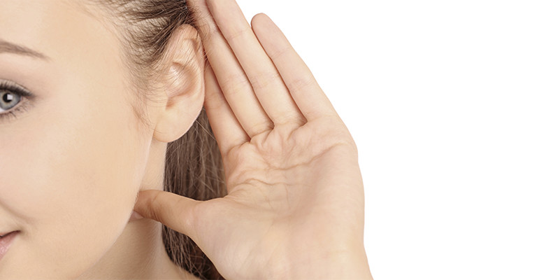 Les fonctions de l'oreille