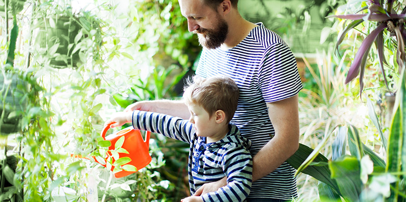 Se mfier des plantes toxiques