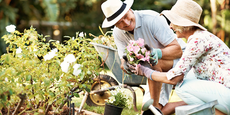 Un jardin anti-allergies