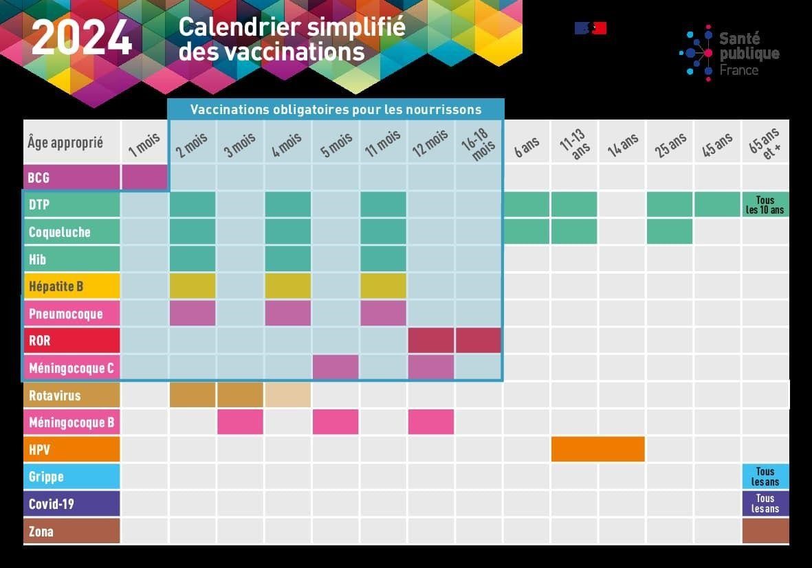 calendrier simplifi des vaccinations 2024